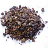 Essência Aromática de BENJOIM - 10 ml